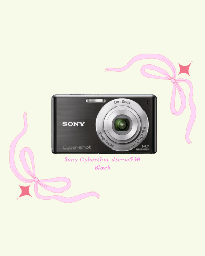 Sony cyber shot DSC-w530