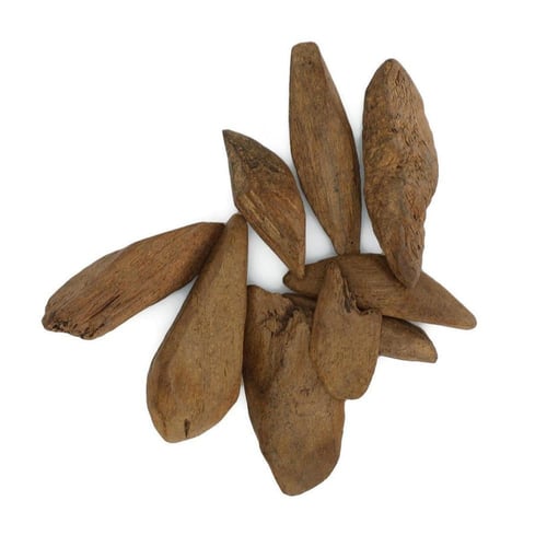 عود مروكي الشيوخ ( محسن)