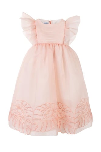 فستان من الأورجانزا المطرزة