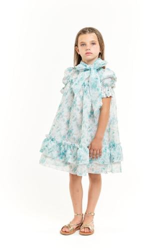 فستان أورجانزا مطبوع باللون الأخضر