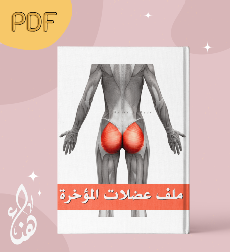 ملف عضلات المؤخرة