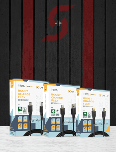 LIONX - عرض 3 كيابل 2 متر من اختيارك