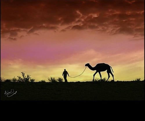 لوحات جدارية منوعه من اعمالي في الزخرفة النجدية