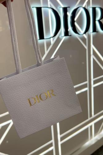 كيس DIOR - صغير
