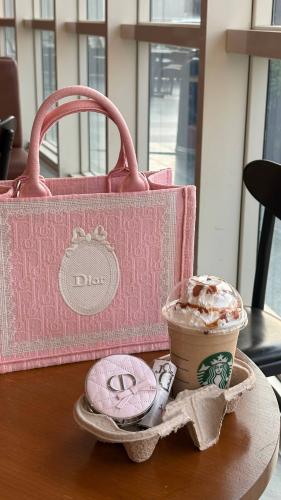 DIOR BAG 2026 - مقاس L