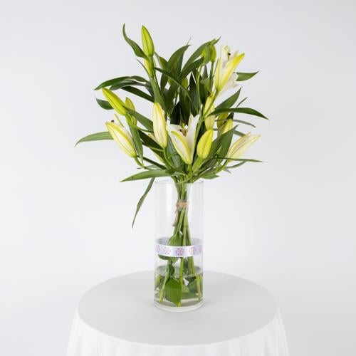 فازة الكازابلانكا