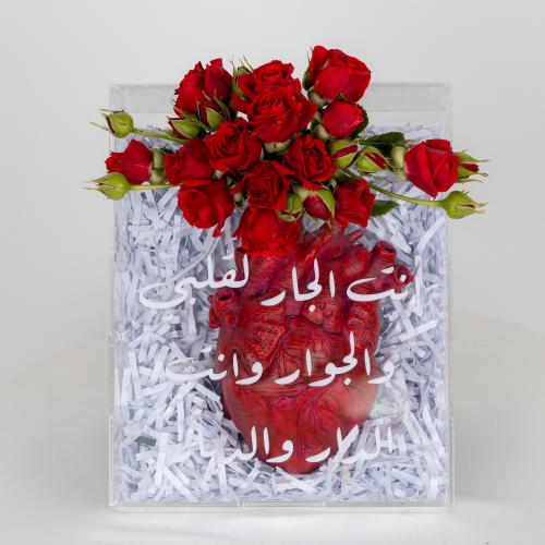 فازة القلب