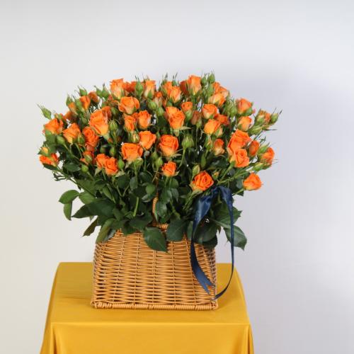 Baby Rose Basket 1