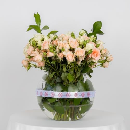 فازة الوردي الفاتح 1