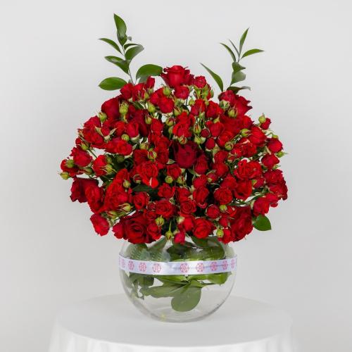 الفازة الحمراء