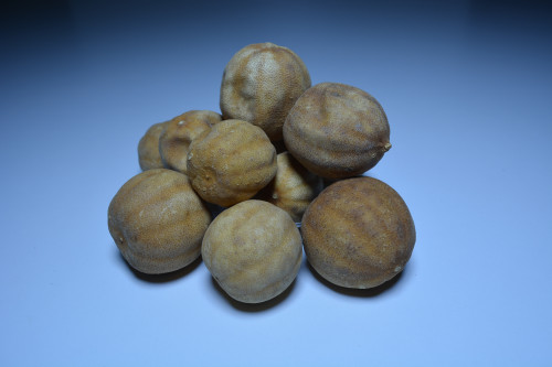 ليمون اشقر صومالي