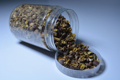 قشر قهوة يمني (بالكيلو)