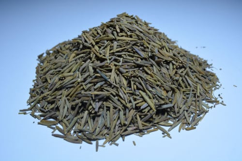 لسان العصفور