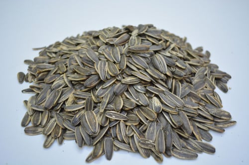 حب شمس مالح