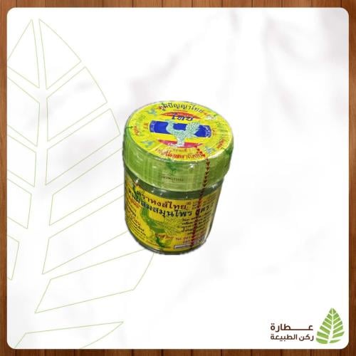 فكس تايلندي الحجم الكبير