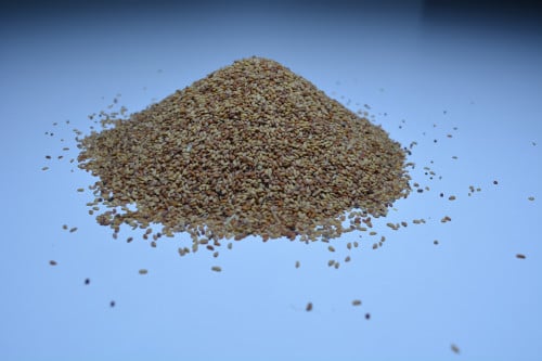 حب رشاد ديرة