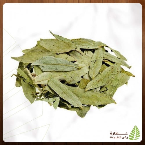 عشبة السنامكي