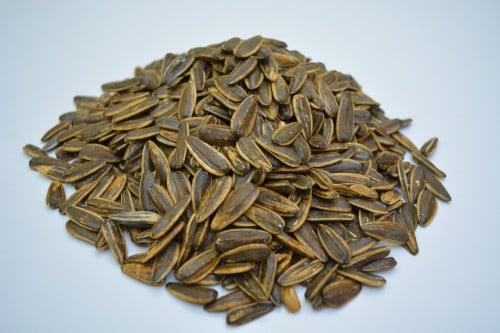 حب شمس مشوي