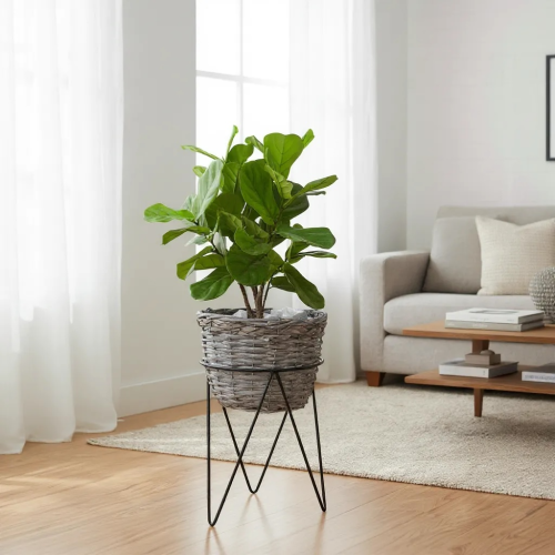 مركن شجر خوص باستاند حديد