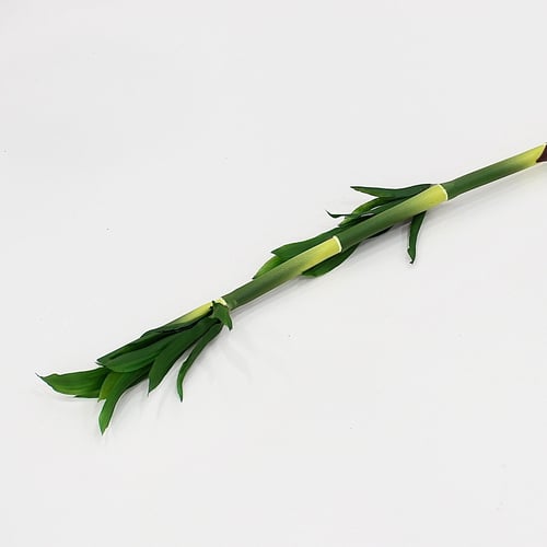 غصن بامبو صناعي – 100 سم