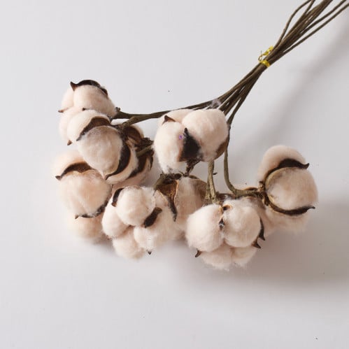 أغصان قطن زينة 3 ألوان