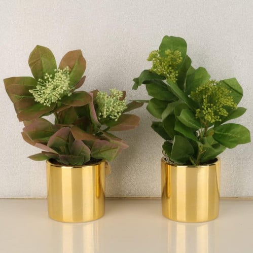 شتله صناعي مع المركن