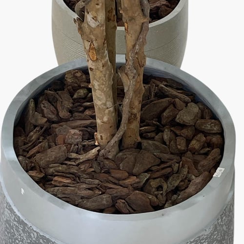 لحاء خشب الصنوبر طبيعي لتزيين أحواض الزرع 1 كغ