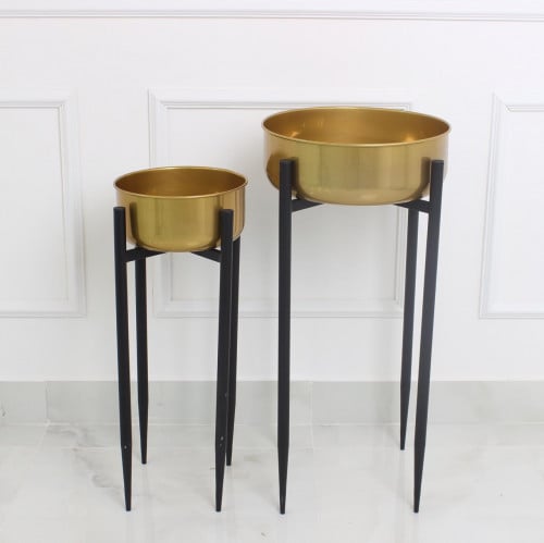 مركن ورد ذهبي