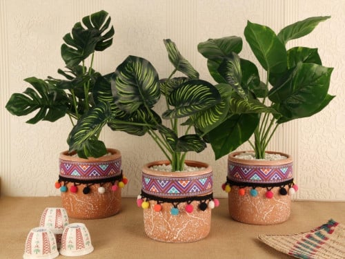 مزهرية خضار منسق