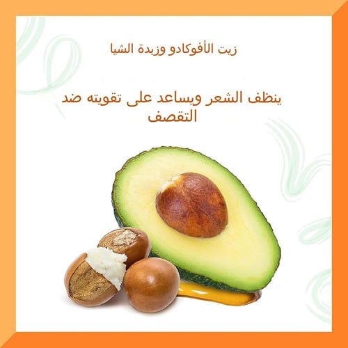 كانتو شامبو مرطب بخلاصة الافوكادو، خال من الكبريتا...