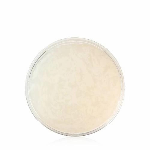 كانتو كريم زبدة الشيا وجوز الهند لتجعيد الشعر بشكل...