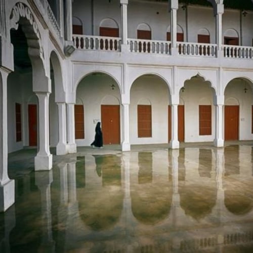 لفة الكوت - يومين