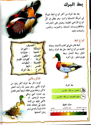 موسوعة الحيوانات - الطيور