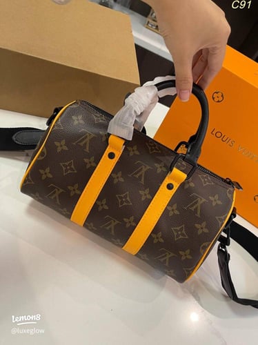 luggage VUITTONLOUIS