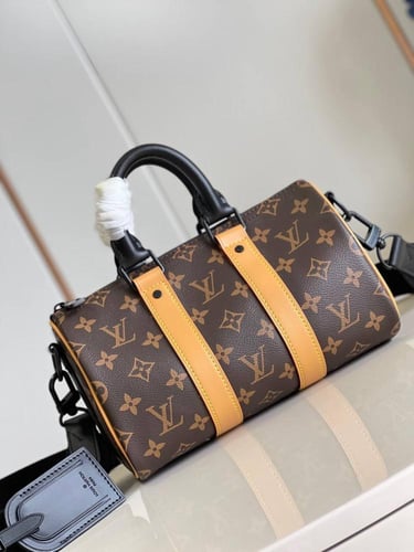 luggage VUITTONLOUIS