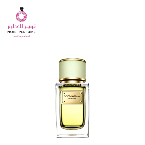 عطر فيلفيت بارغموت - من دولتشي & غابانا – او دو با...