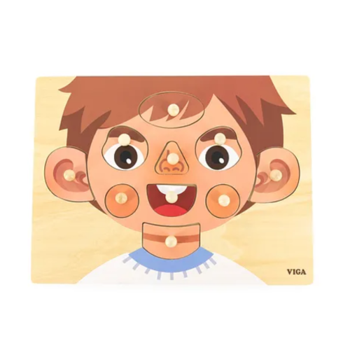 Educational puzzle for children, parts of the face...