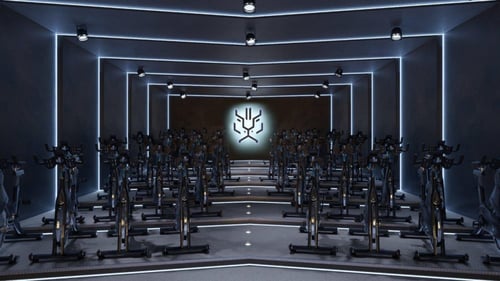 عرض الفنون القتالية 12 جلسة لمشتركة