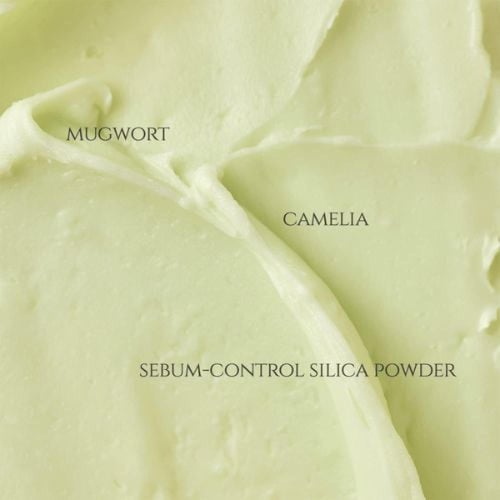 واقي شمس ستيك مطفي بالماغورت والكاميليا من بيوتي ا...