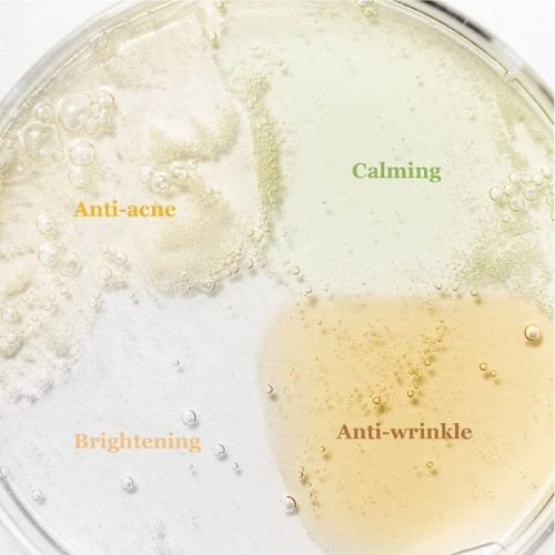 مجموعة سيروم هانباق الاستكشافيه من بيوتي اوف جونسو...