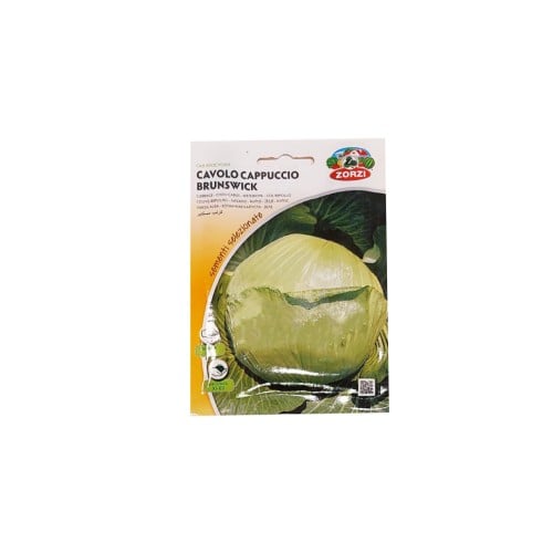 بذرة الكرنب