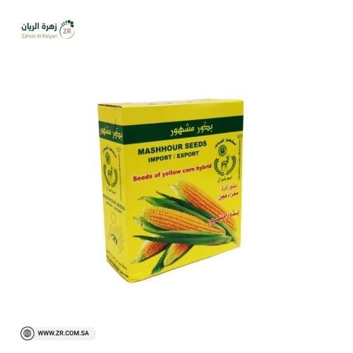 بذور ذرة صفراء هجين