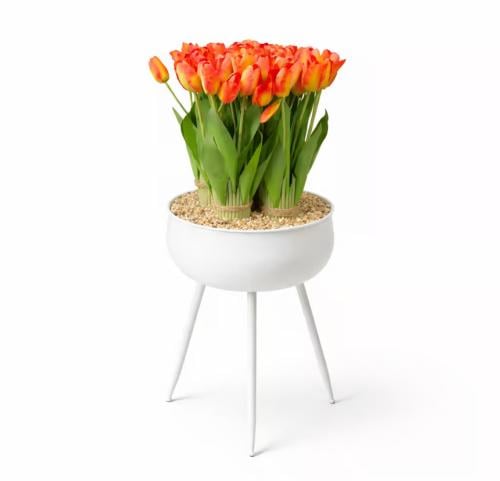 A coordinated basin with artificial tulip board