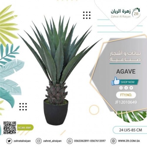 نبات اجاف الصناعى ارتفاع 85 سم