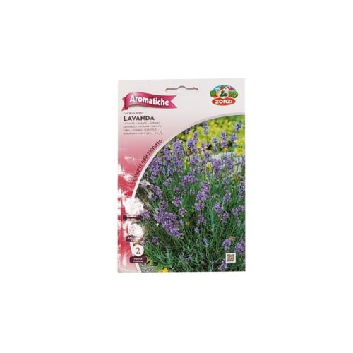 بذور لافندر