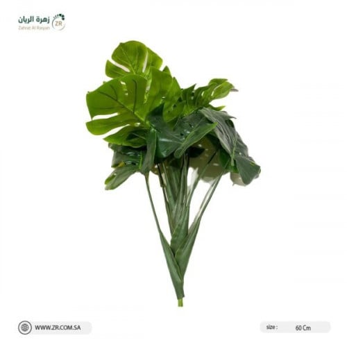 زهور تشبة نبات مونسترا الصناعية