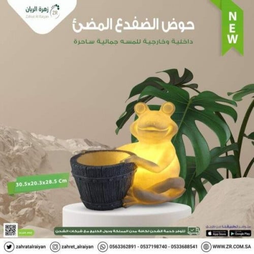 اضاءة مع حوض بشكل ضفدع فايبر بدون كهرباء / تعمل با...