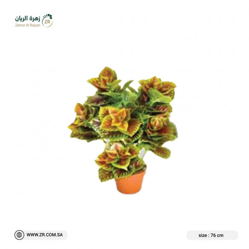 نبات فيتونيا الصناعى ارتفاع 76 سم