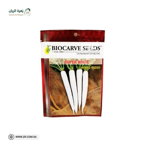 بذور فجل أبيض