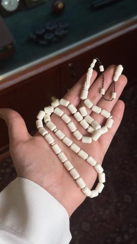 عظم جمل صنوبري 2051